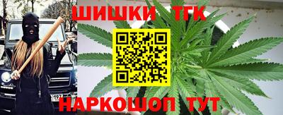 прущие грибы Пыть-Ях