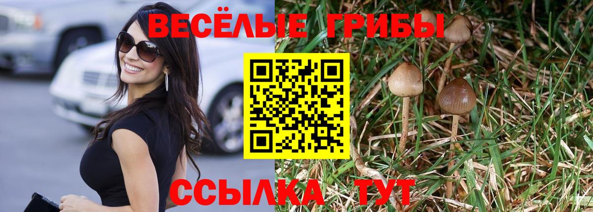Галлюциногенные грибы Psilocybine cubensis Солнечногорск